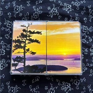 *BOGO Sale $15 &Under* Vintage Hoyle Scenery Playing Cards 2 deck plastic coated